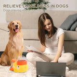 Supéria Interactive Dog Puzzle Feeder