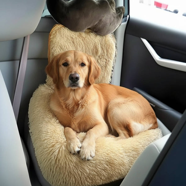 Supéria Protective Dog Car Bed