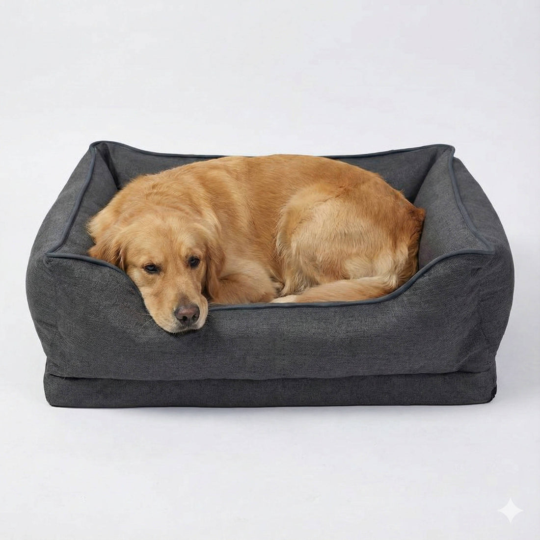 Supéria Orthopedic Car Dog Bed