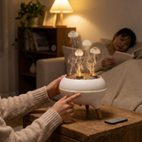 Lifestyle product image