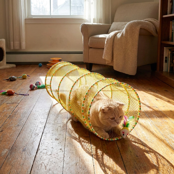 Lifestyle product image