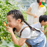 Supéria Kids Insect Exploration Kit